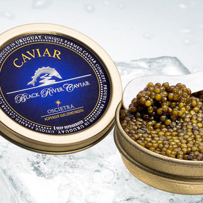 caviar russian imperial oscietra river sturgeon fish